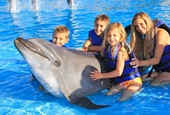 Swimming with Dolphins in Cabo San Lucas Mexico