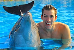 Cancun Dolphin Swims