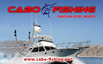 Cabo San Lucas Fishing Charters by Johann & Sandra