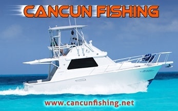 Cancun Fishing